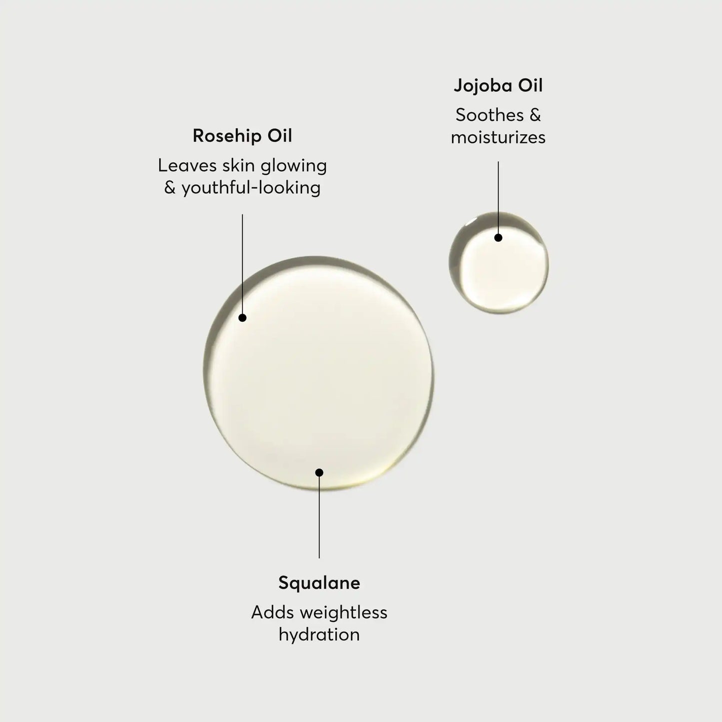 the-glow-getter-body-oil-r7 NATR-10115-Alt-Images-The-Glow-Getter-Body-Oil-01.webp