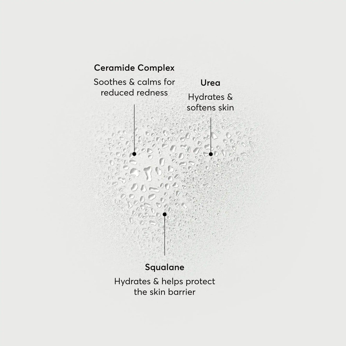 barrier-bounce-bi-phase-mist-b8 NATR-10167-Alt-Images-Barrier-Bounce-Bi-Phase-Toner-Mist_01.webp