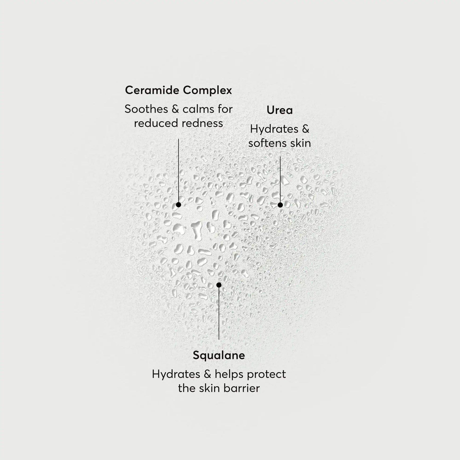 barrier-bounce-bi-phase-mist-b8 NATR-10167-Alt-Images-Barrier-Bounce-Bi-Phase-Toner-Mist_01.webp