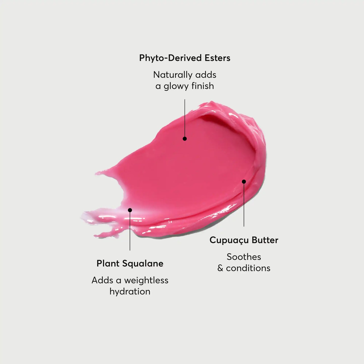 phyto-glow-lip-balm-camellia-p4 NATR-60075-Alt-Images-Phyto-Glow-Lip-Balm-Camellia-01.webp